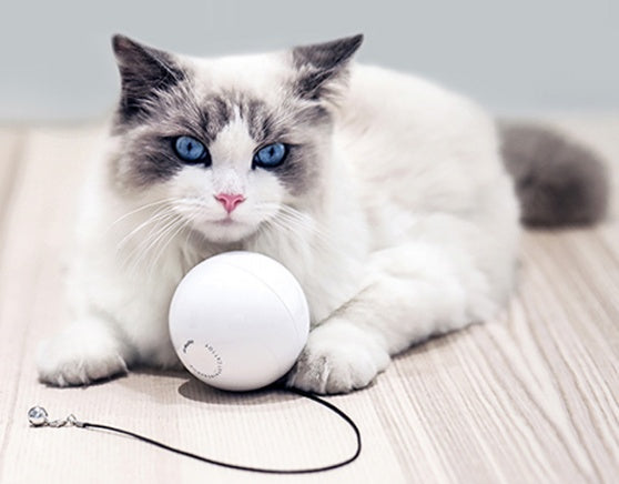 Smart Automatic Interactive Cat Toy Ball