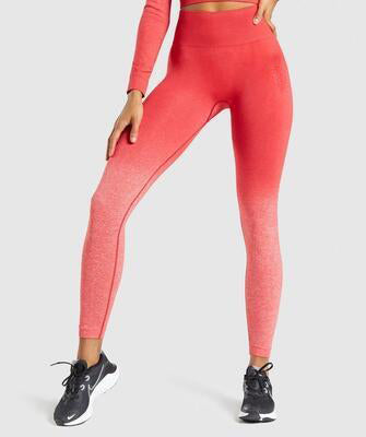 Women Gym Yoga Seamless Pants Sports Clothes: Stay Stylish and Comfortable During Your Workout