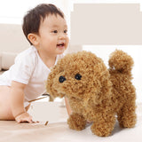 Electric Plush Animal Toys for Kids - Corgi, Teddy Bear, Bunny