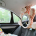 Car Safety Seat Rear View Mirror - Baby Monitor & Reflector - Minihomy