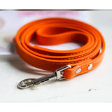 Pet Leash Collar