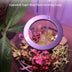 LED Grow Light Full Spectrum Angel Ring Phyto Grow Lamp USB Phytolamp - Minihomy