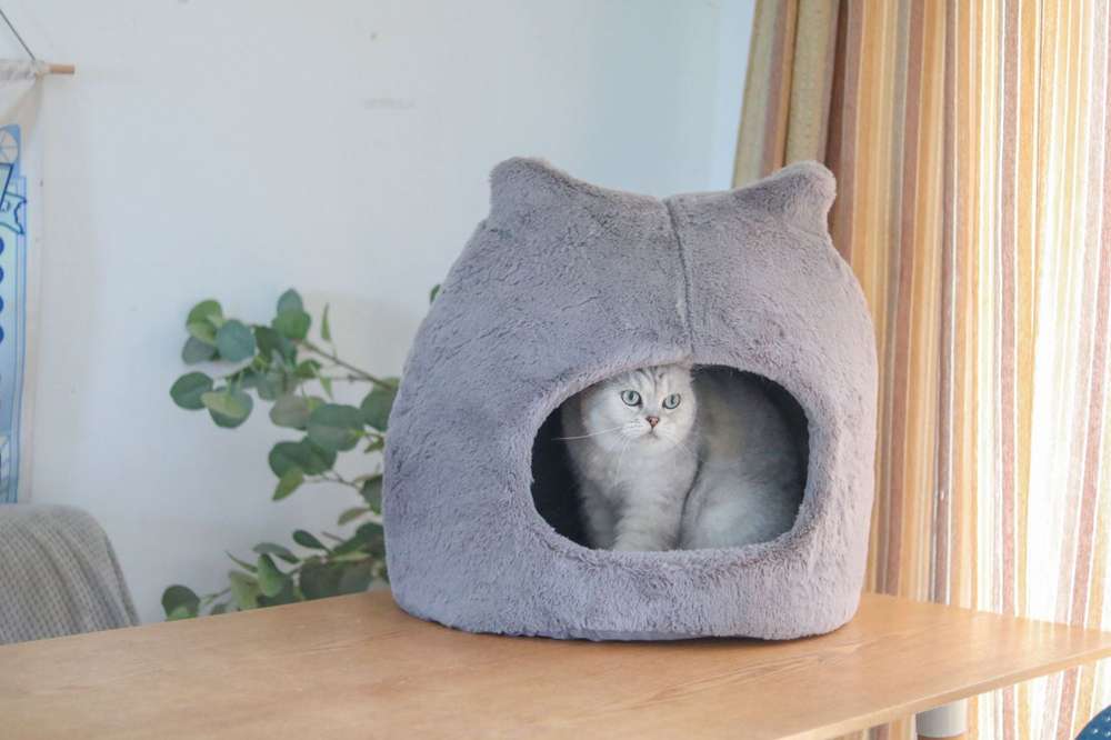 Cat Nest Autumn And Winter Warm Kittens Removable And Washable Cat Bed - Minihomy