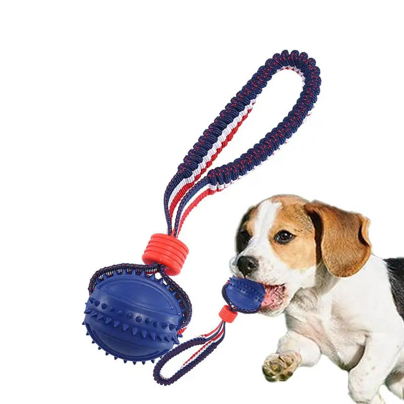 Interactive Dog Toy Ball - Teether with Rope for Chewing, Training & Fun