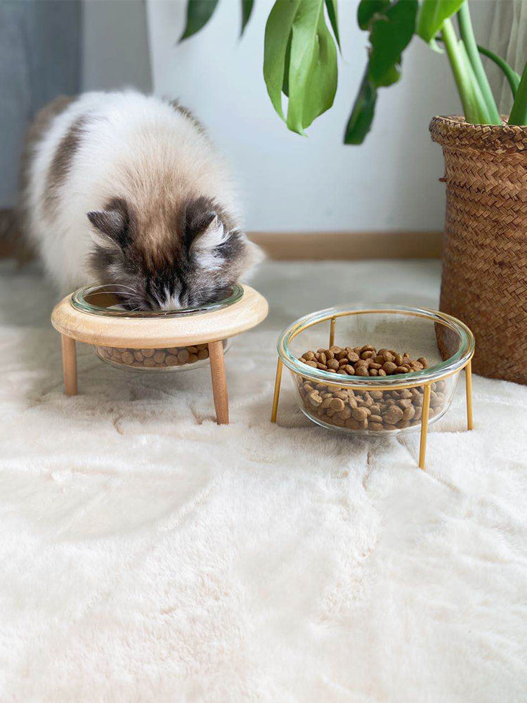 Ceramic Cat Bowl - Elevated Pet Water & Food Dish for Cats