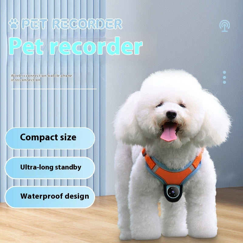 Pet Tracker Collar Camera: Record Your Dog or Cat's Adventures - Minihomy