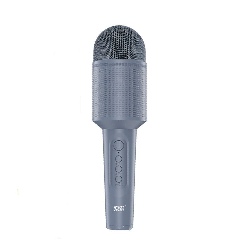 Audio Integrated Microphone Karaoke Wireless Bluetooth - Minihomy