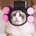 Curly Hair Pet Hat Cat Funny Dress Up Pet Products - Minihomy