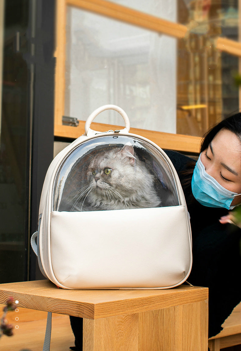 High-value Visible Transparent Cat And Dog Outing Pet Bag - Minihomy