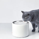 Pet water dispenser