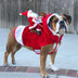 Dog Christmas Clothes Santa Claus Riding Deer - Minihomy