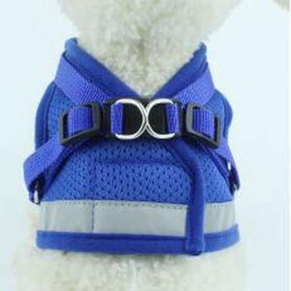 Dog Harness And Leash Set - Minihomy