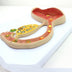 Fertilized Egg Formation Process Promotional Gift Model Reproductive Training Teaching Model - Minihomy