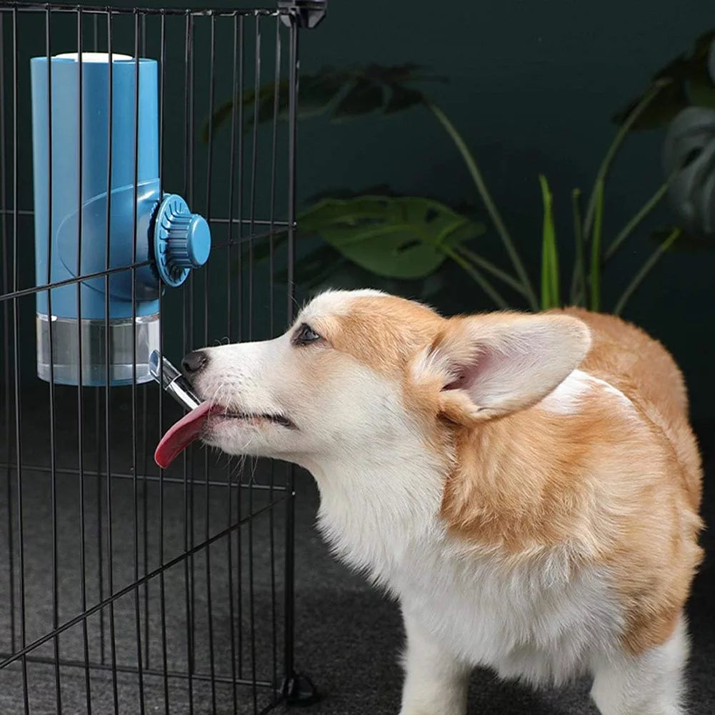 Pet Water Drinker Ball Feeder Hanging Water Drinker Cage Pet Water Cup - Minihomy