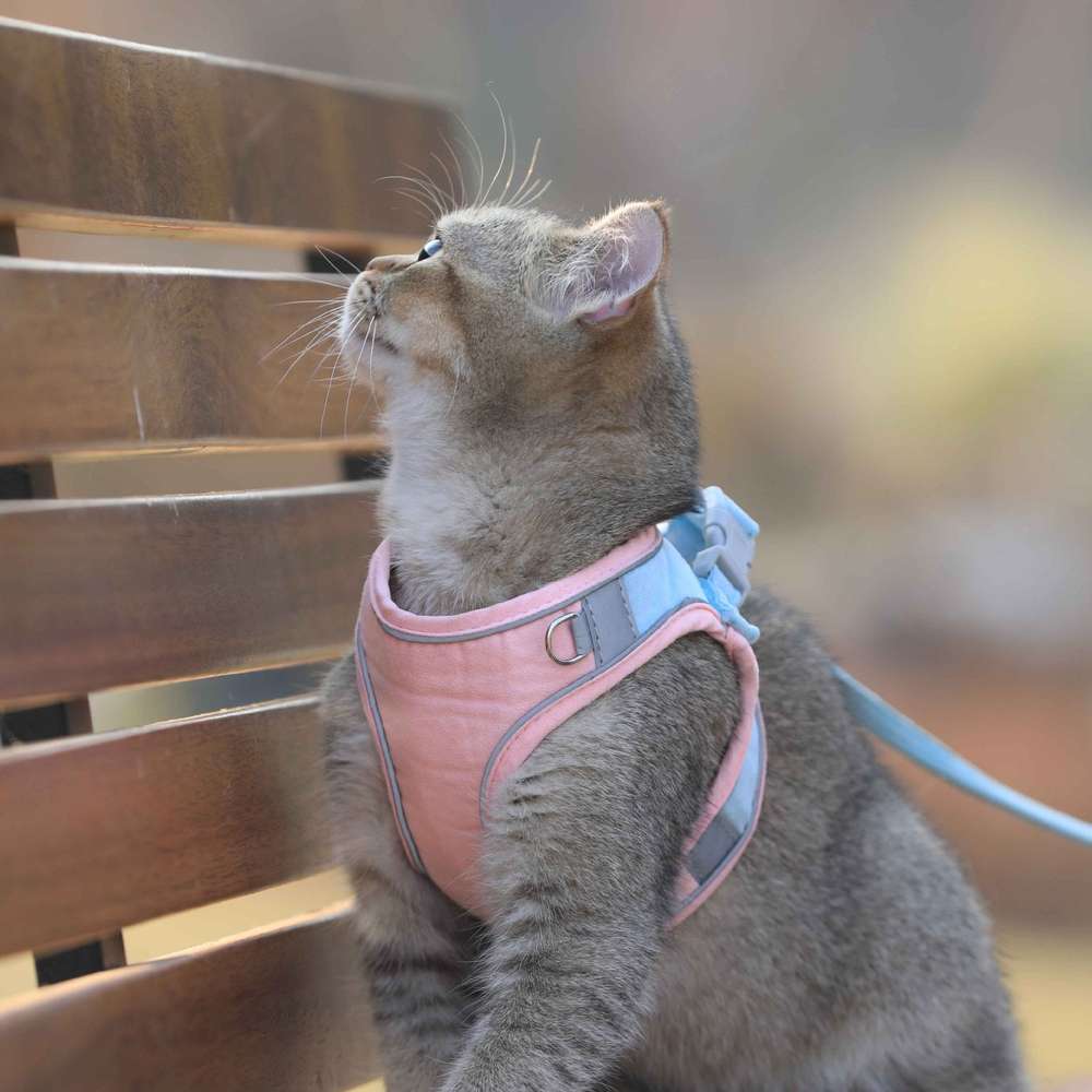 Cat Traction Rope Home Vest-Style Chest Harness Cute Anti-Stroke Cat Walking Rope - Minihomy