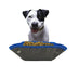 Folding Dog Bowl Large Canvas Dog Food Bag - Minihomy