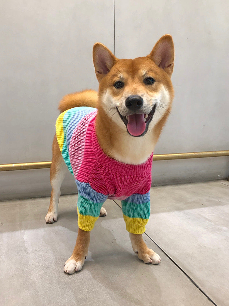Rainbow Dog Sweater - Minihomy
