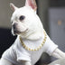 Dog metal big gold chain - Minihomy