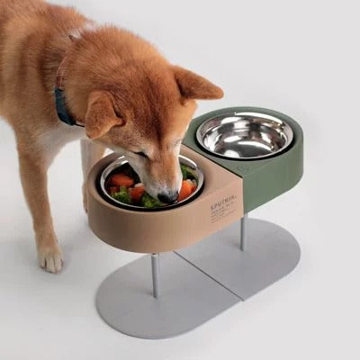 Pet cat and dog camping bowl - Minihomy