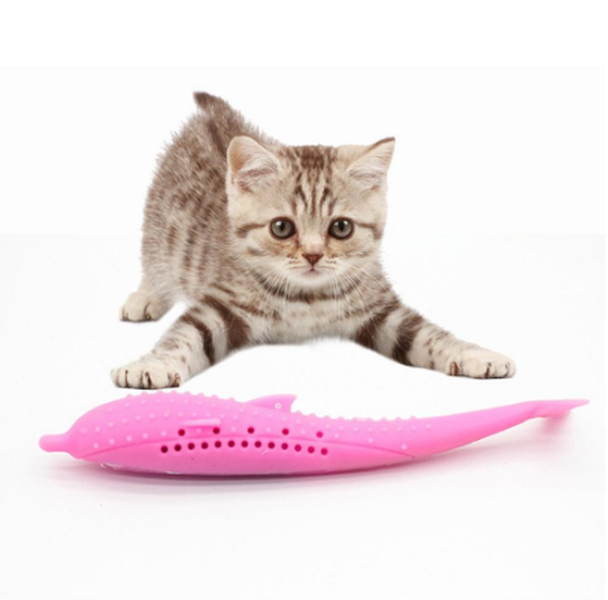 Cat Toothbrush Toy - Minihomy