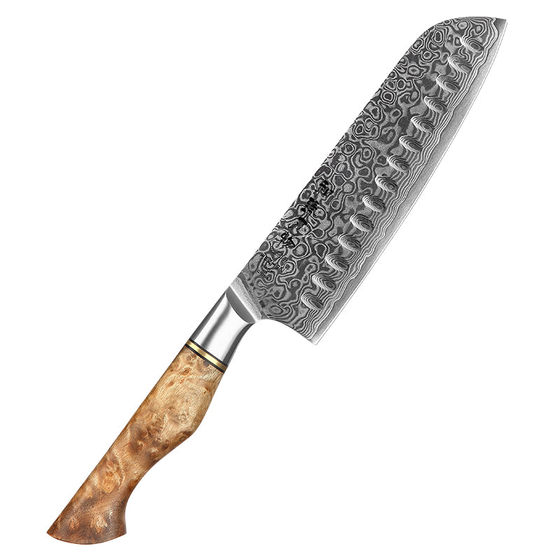 Damascus Steel Kitchen Knife - Sharp & Durable Chef's Knife for Cooking - Minihomy