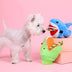 Plush Dog Supplies Pet Dog Teddy Puppies - Minihomy