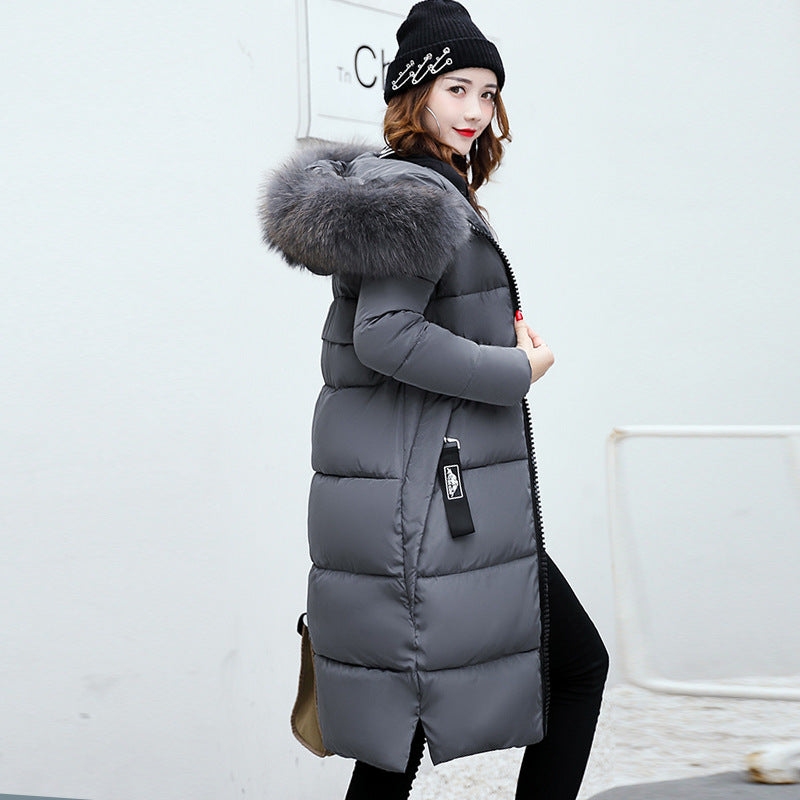 Women's Jacket Parka Down Cotton Parkas Winter Jacket