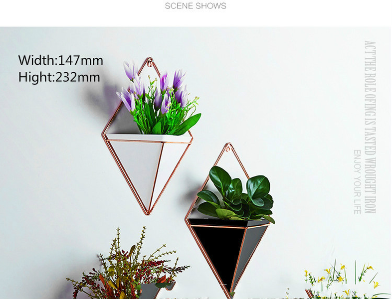 Creative home three-dimensional wall decoration flower pot - Minihomy