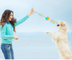 Pet Draw Rope Hand Throwing Ball ABS Grinding Teeth Resistant Chew Dog Training Ball - Minihomy