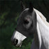 Breathable Anti-Mosquito And Fly-Proof Horse Masks Equestrian Supplies - Minihomy