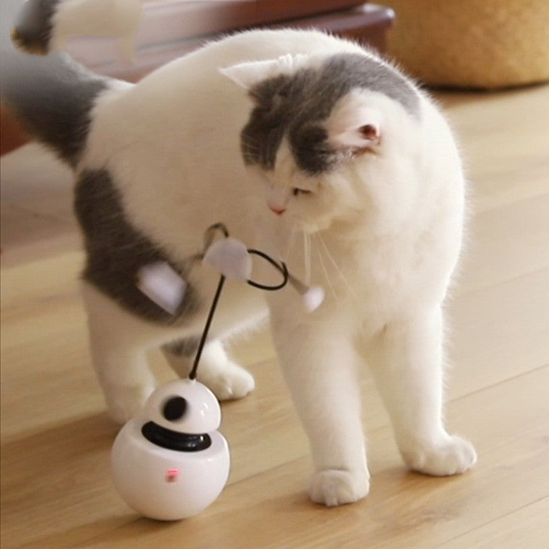 Electric funny cat toy