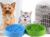 Pet Dog Weight Loss Choke Prevention Bowl - Minihomy