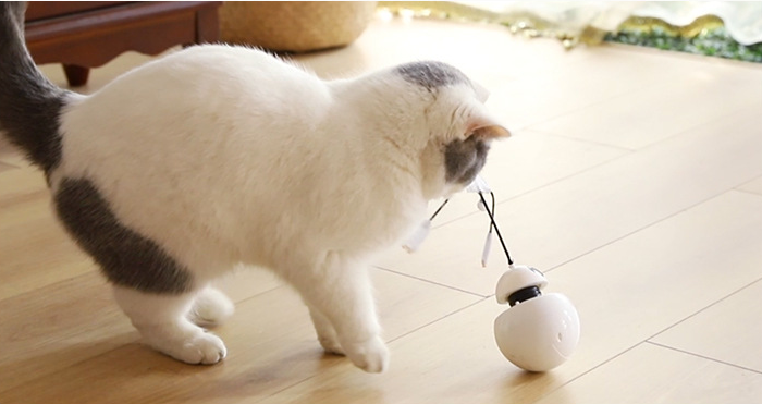 Three in one robot tumbler laser cat toy - Minihomy