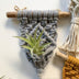 Home Decor Mini Macrame Plant Hangers For Air Plant - Minihomy