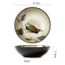 Japanese Ceramic Dishes Bowls Dishes Individuality - Minihomy