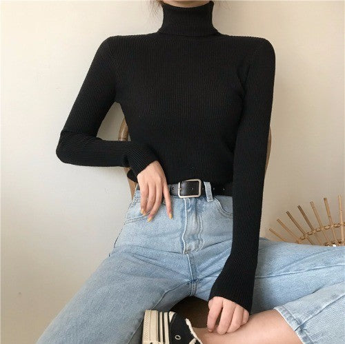 High Collar Warm Long Sleeve Sweater Women