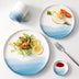 Disc tableware western food plate - Minihomy