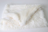 Plush mat double pet blanket