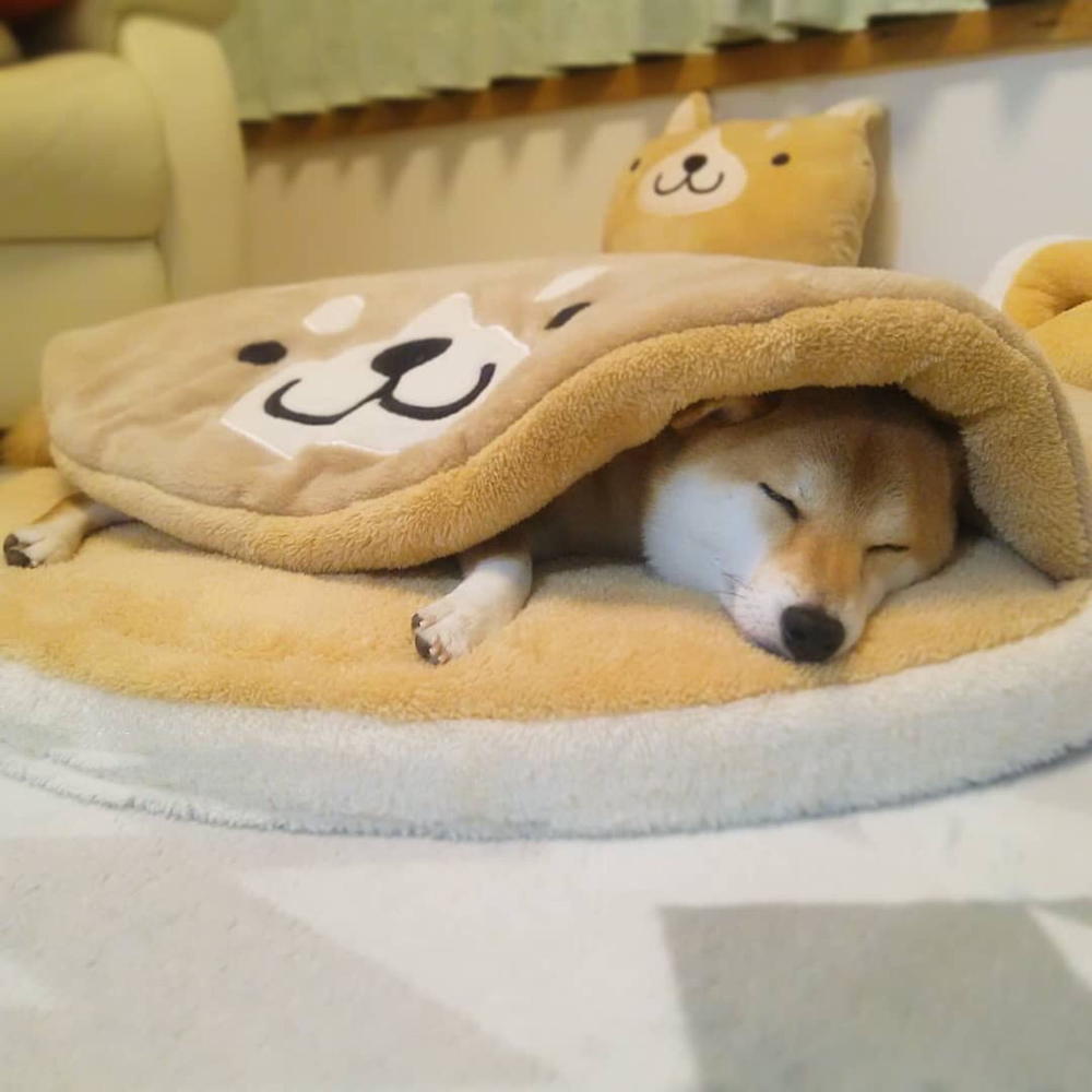 Doghouse Corgi Teddy Plush Dorayaki Sleeping Mat for Cats and Dogs - Minihomy