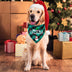 Christmas Dog Bandana Pet Triangle Scarf For Puppy And Cat Pet - Minihomy