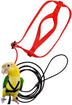 Parrot Flying With Flying Rope And Bird Harness - Minihomy