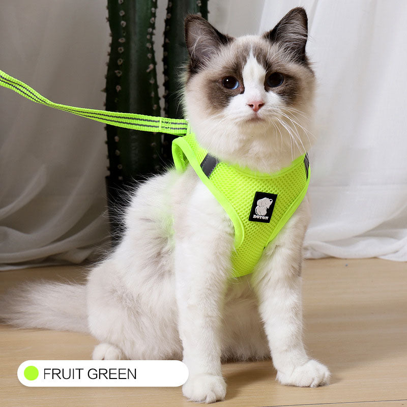 Anti-Strike Cat Traction Cat Harness - Minihomy