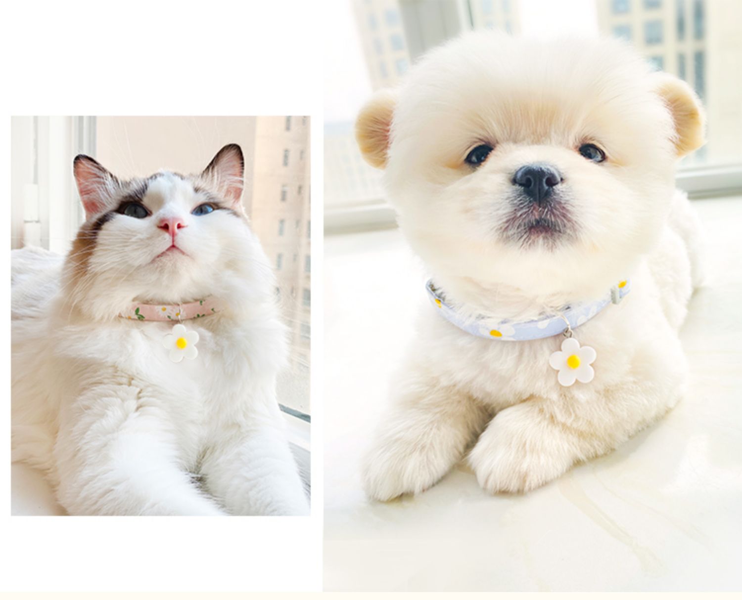 Anti-lost Cat And Dog Pet Listing Necklace Collar