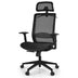 Height Adjustable Ergonomic High Back Mesh Office Chair with Hange-Black - Color: Black - Minihomy