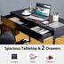 2-Drawer Home Office Desk with Steel Frame-Black - Color: Black - Minihomy