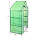 Portable 4 Tier Walk-in Plant Greenhouse with 8 Shelves - Color: Green - Minihomy