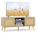 PE Rattan Media Console Table with 2 Cabinets and Open Shelves - Color: Natural - Minihomy