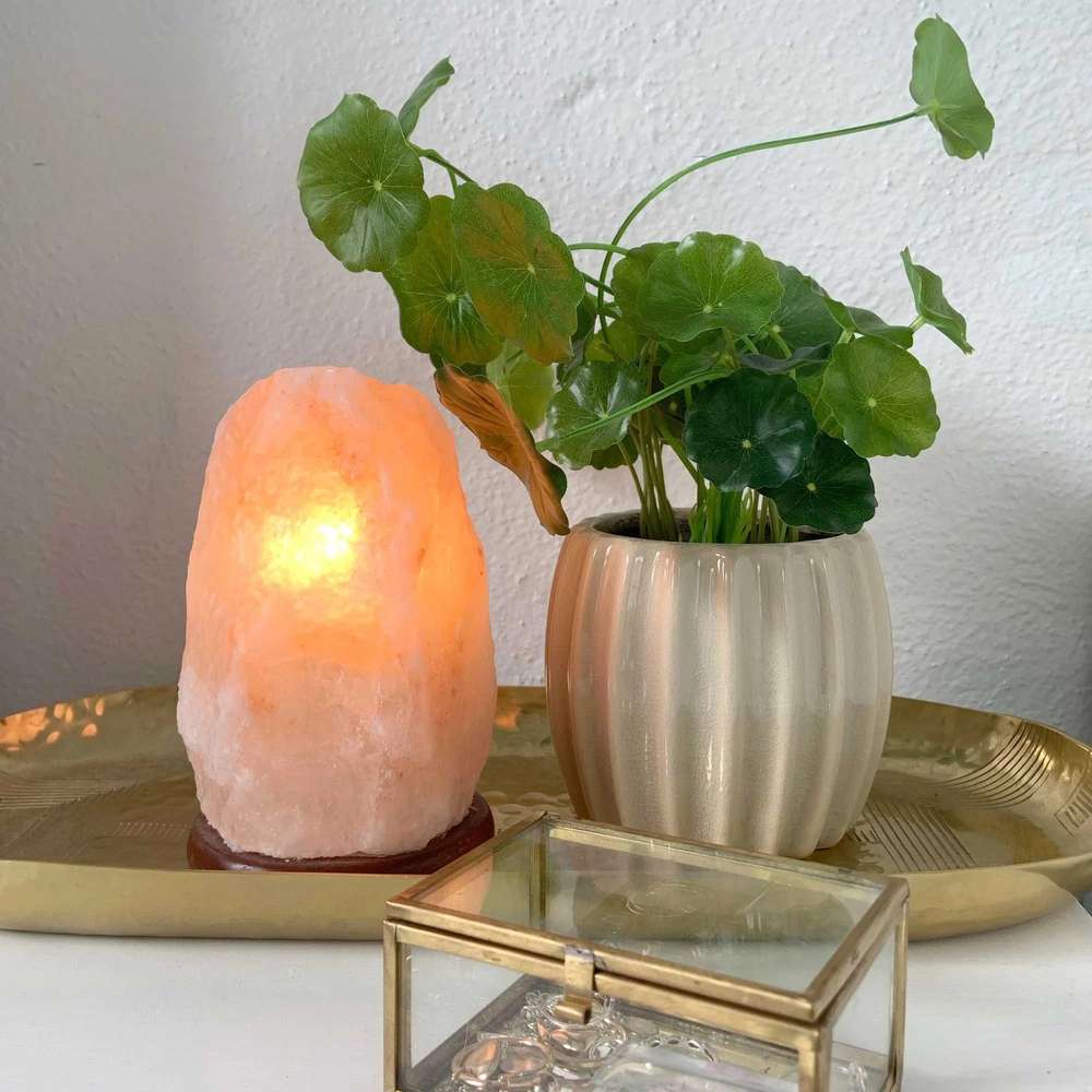 Crystal salt lamp socket lamp creative decoration gift rose salt lamp night light bedside lamp - Minihomy