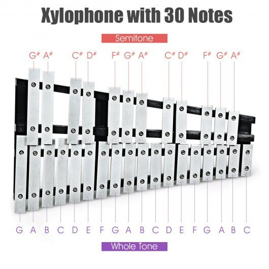 Foldable Aluminum Glockenspiel Xylophone 30 Note with Bag - Minihomy