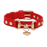 Lizard Pattern Double Buckle Leather Pet Collar - Minihomy